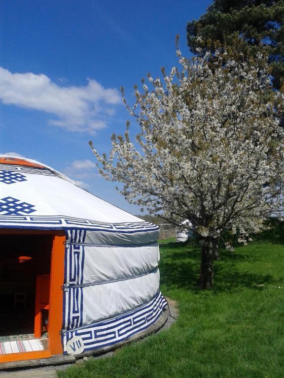 Yourte Nomade-Lodge Les Ecrennes Habitación foto